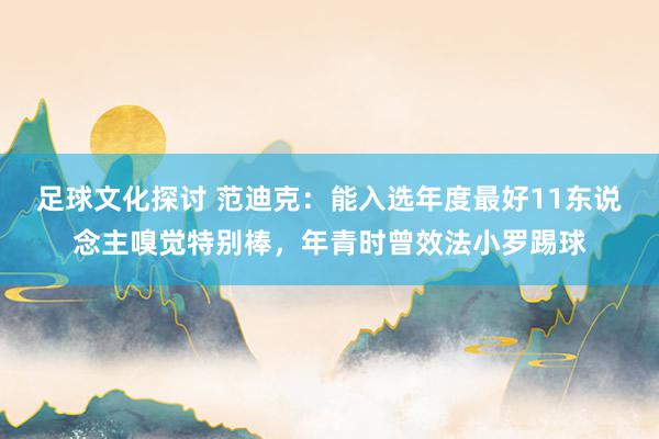 足球文化探讨 范迪克：能入选年度最好11东说念主嗅觉特别棒，年青时曾效法小罗踢球