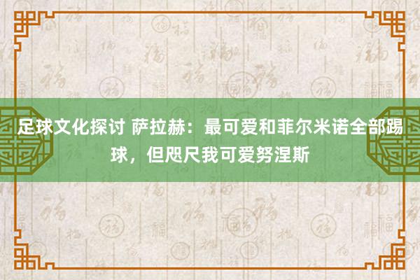 足球文化探讨 萨拉赫：最可爱和菲尔米诺全部踢球，但咫尺我可爱努涅斯